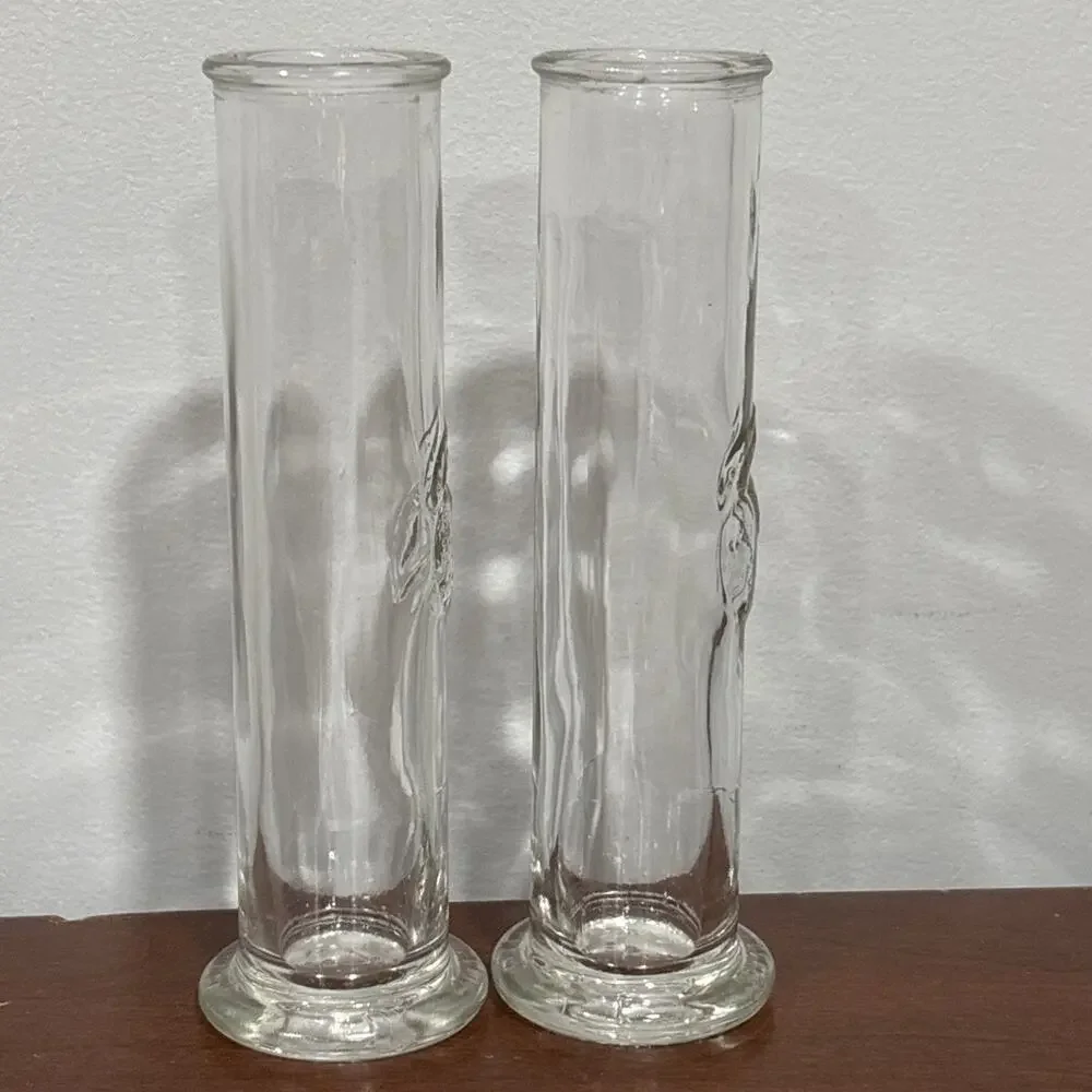 Test Tube Embossed Lemon Peach Fruit Bud Glass Vase Signed Les Verres Lot Of 2